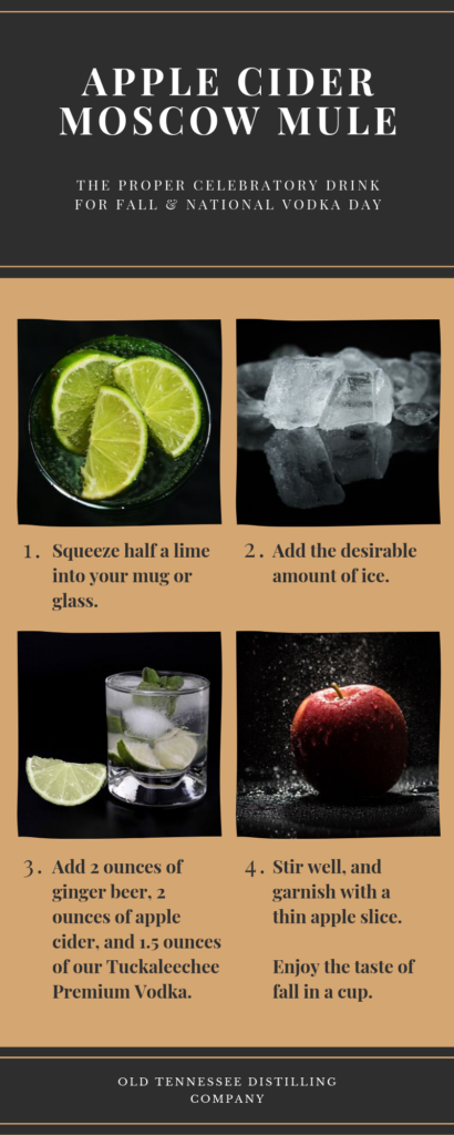 Apple cider Moscow mule recipe infographic