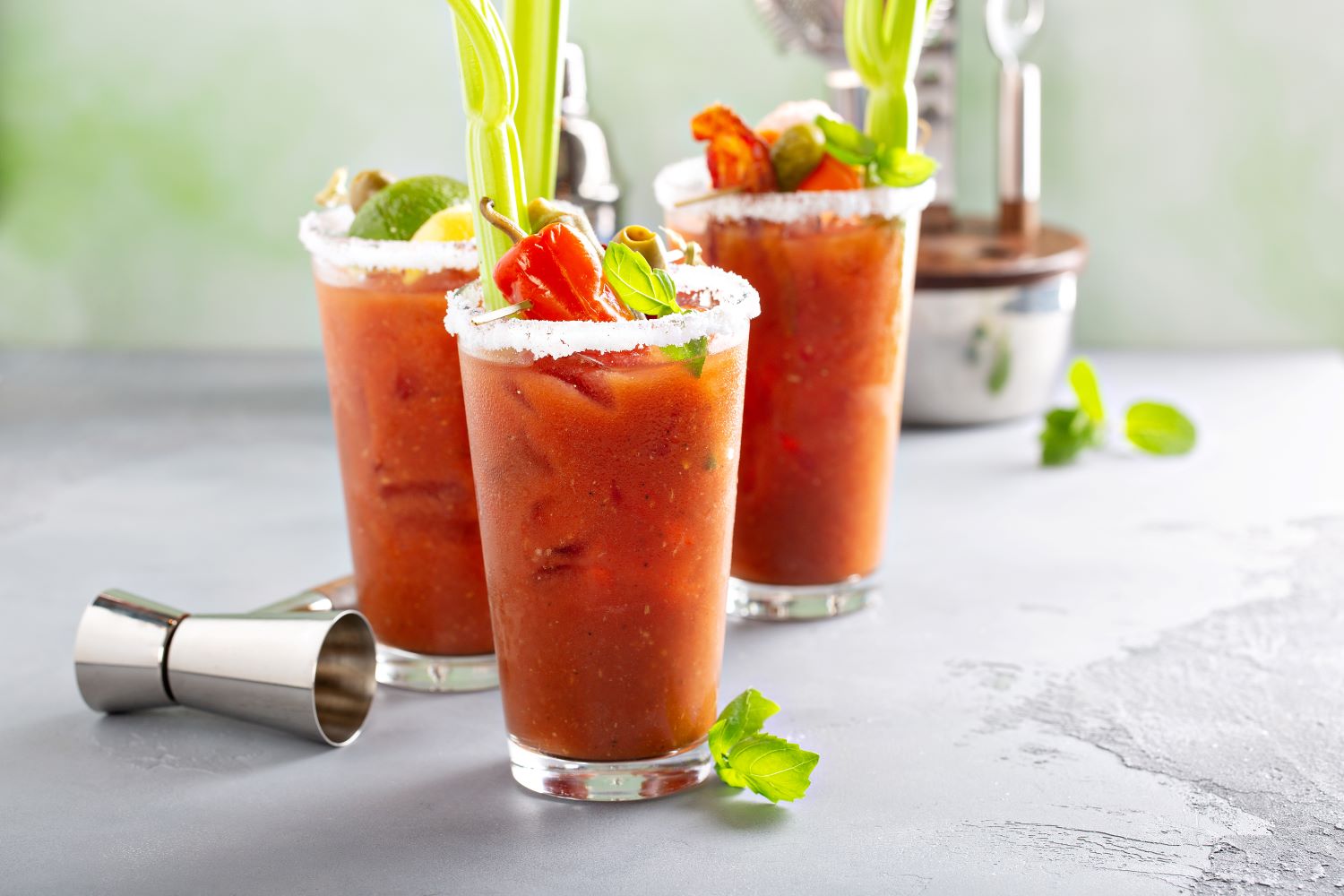 Bloody Mary's with celery, peppers and mint leaves and salted rims