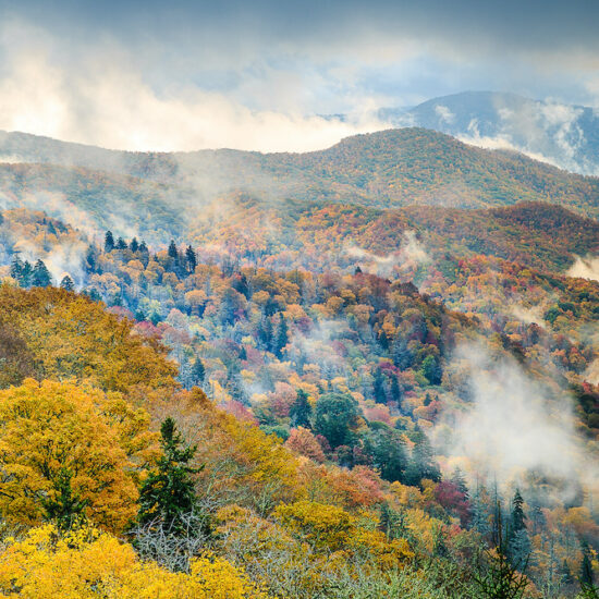 Great Smoky Mountains National Park - Newfound Gap near Kodak TN.