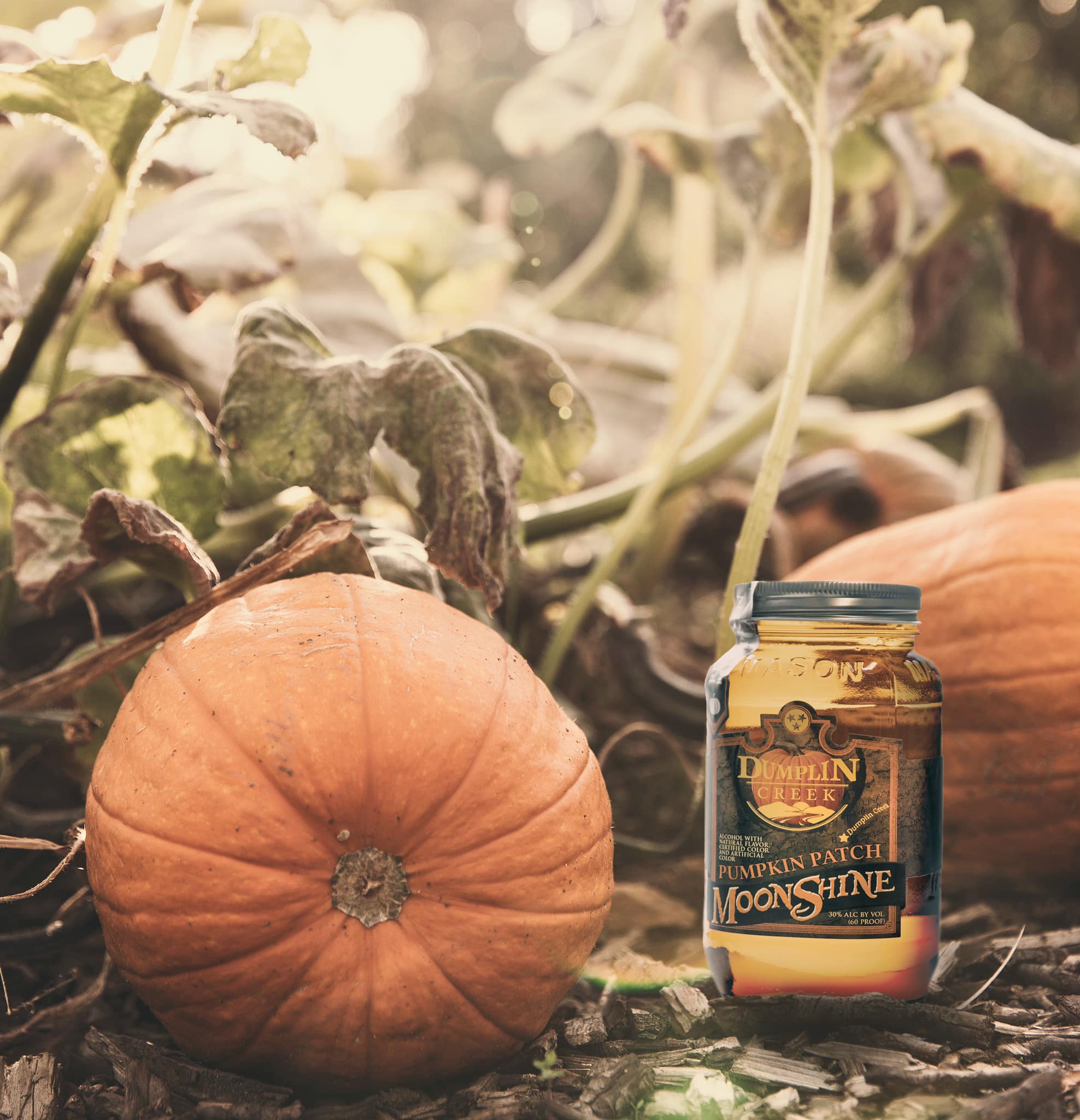 The best part about thanksgiving is pumpkin moonshine.