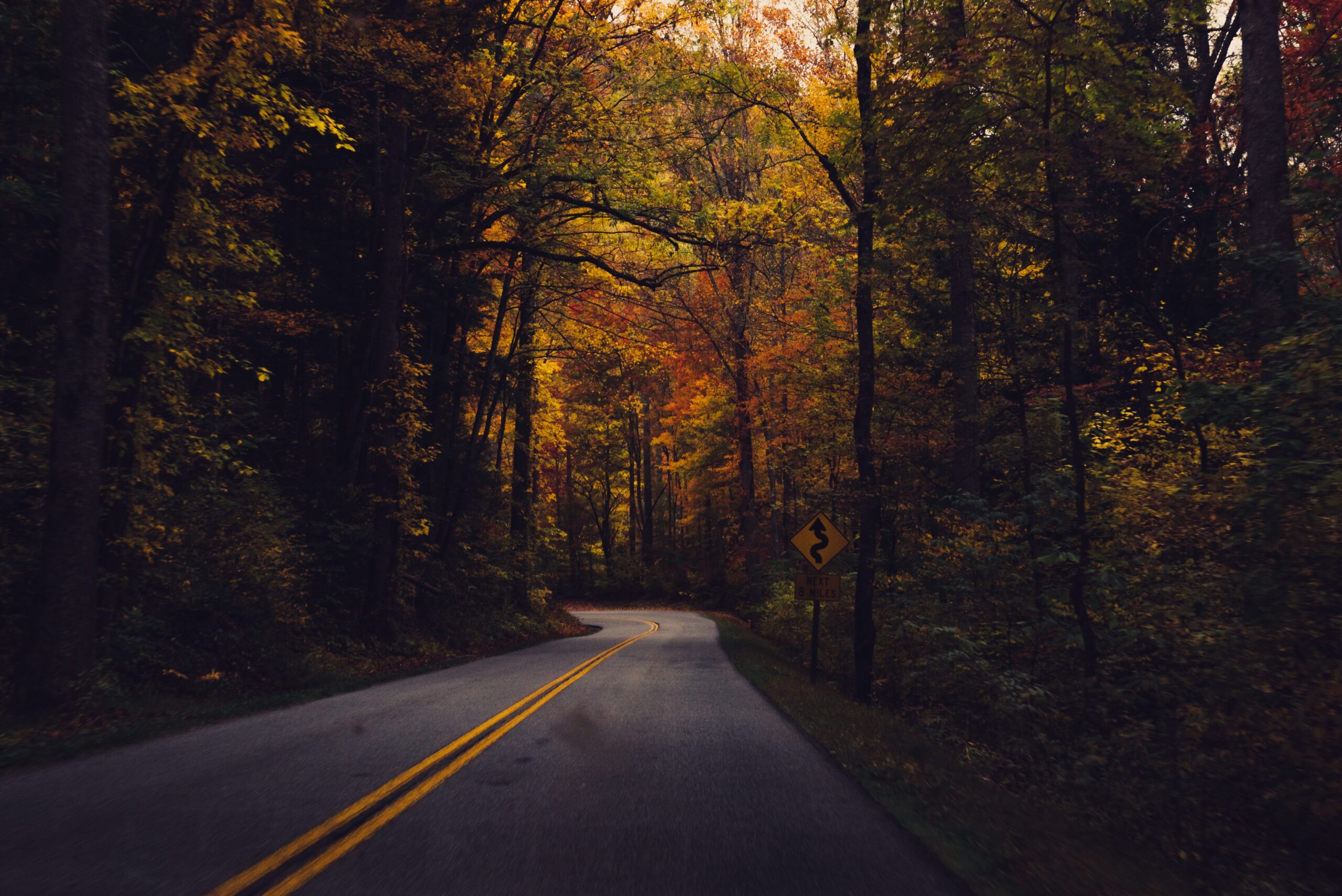 A winding autumnal forest road with a road sign warning of curves ahead.